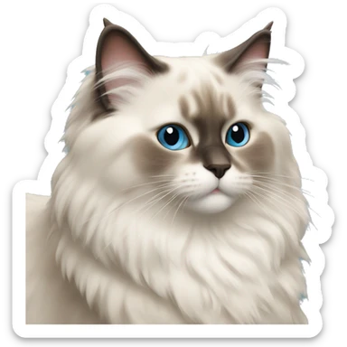 Fluffy ragdoll cat sticker