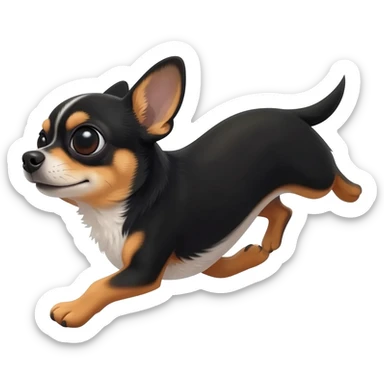Bébé chihuahua noir marrant poil courut en vacances à la plage une poil courte sticker