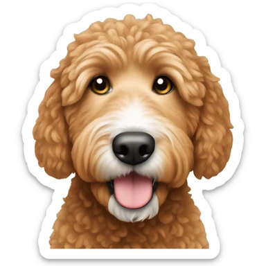 Ginger golden doodle with white nose sticker
