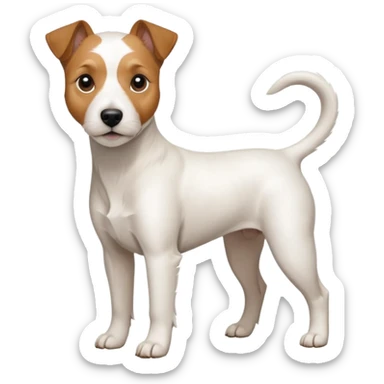 a full body white parson russell looking dog the size of a kelpie with light brown ears and a light brown patch on one eye and a large snout sticker