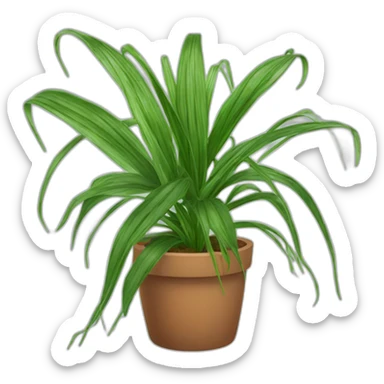 Spider Plant sticker