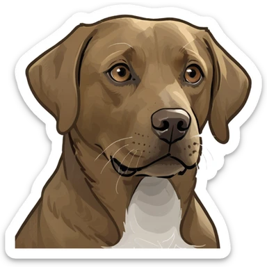 Brown labrador with white spot on stomach and  with light eyes sticker