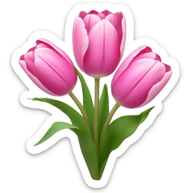 3 pink tulips with a white bow sticker