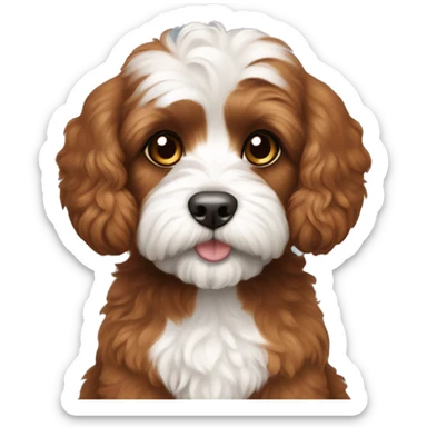 Cavoodle red brown fur with white belly and paws sticker