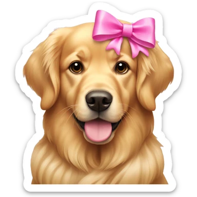 Golden retriever with pink bows sticker