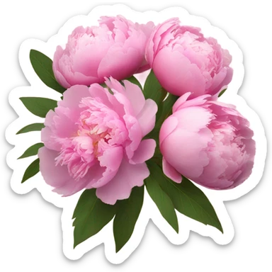 Pink peonies bouquet  sticker