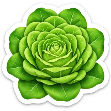 Butter lettuce sticker