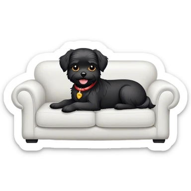 Black Maltese dog on couch with a smile sticker