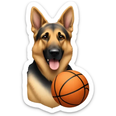 German shepherd with basketball sticker