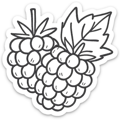 sweet blackberries, hand drawn sketch, detailed sticker