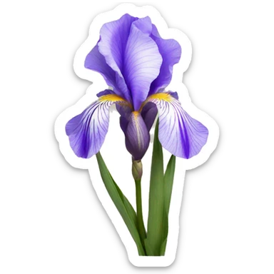 Iris flower sticker
