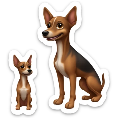 brown dog with brown dark eyes of the toy terrier breed with a slightly wide muzzle smiling sticker