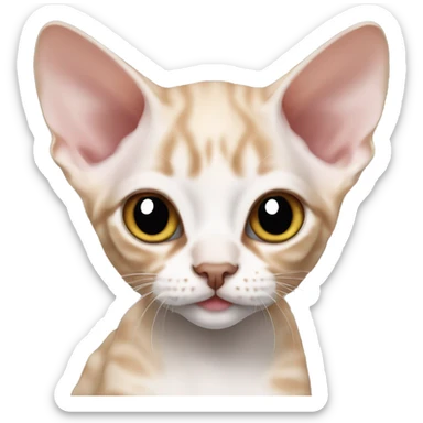 Devon rex kitten sticker