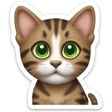 cute brown tabby kitten with green eyes sticker