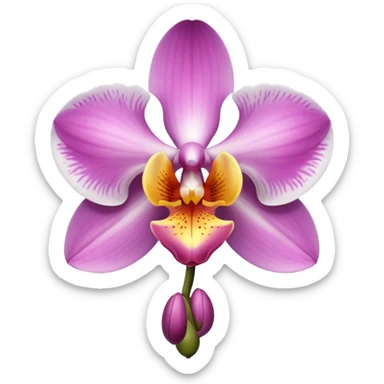 Orchidée sticker