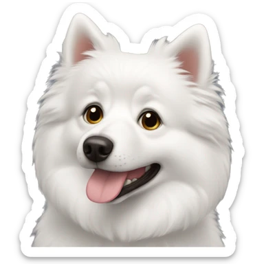 American eskimo dog sticker
