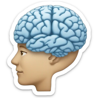 brain three areas sticker