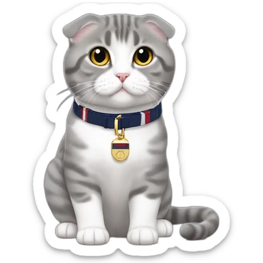 Scottish Fold gray leash Tommy Hilfiger sticker