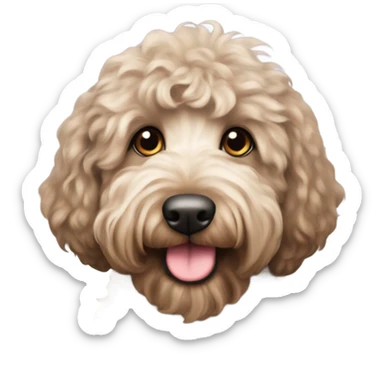 Australian labradoodle with black curly hair sticker