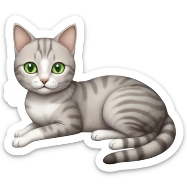 full body tiny short hair grey and white cat with white front legs and green  eyes lying down sticker