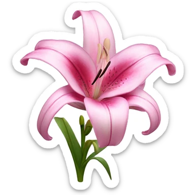 pink lilium sticker
