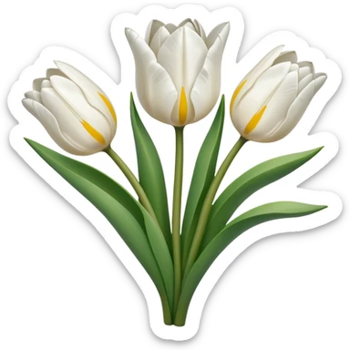 Ramo de tulipanes blancos sticker