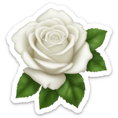 White roses sticker