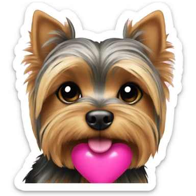 yorkie with a pink heart sticker