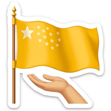 Chinar flag it has 80,000 stars and a hand sticker