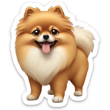 Pomeranian sticker