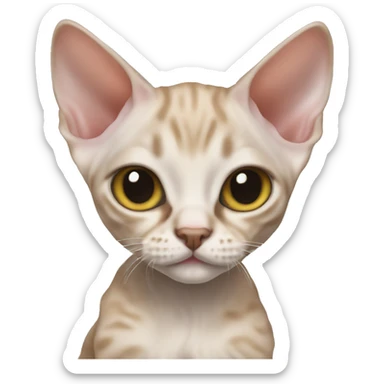 Devon rex kitten sticker