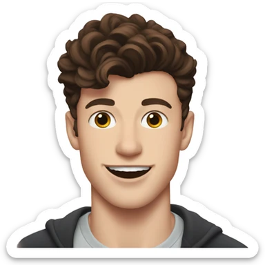 Shawn Mendes sticker
