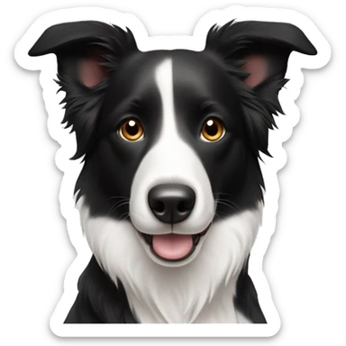 Border Collie Black white with short hair and pricked ears  sticker