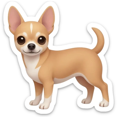Beige chihuahua no white sticker