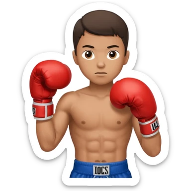 young boy professional boxer sticker