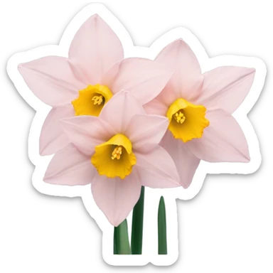 Baby pink daffodil sticker