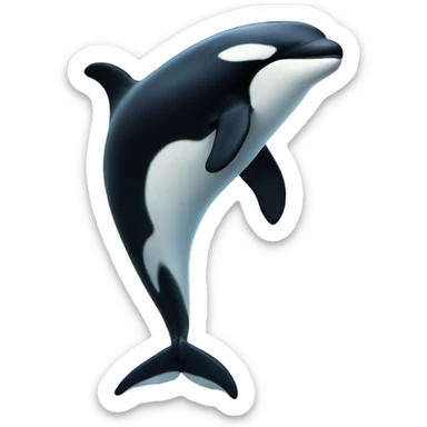 killer whale sticker