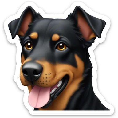 Beauceron dog with cropped ears  sticker
