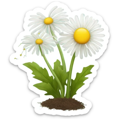 dandelion and chamomile grow together sticker