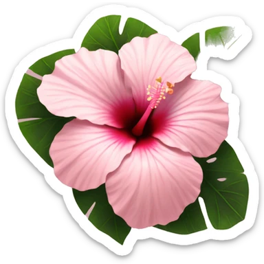 Light pink asthetic hibiscus  sticker