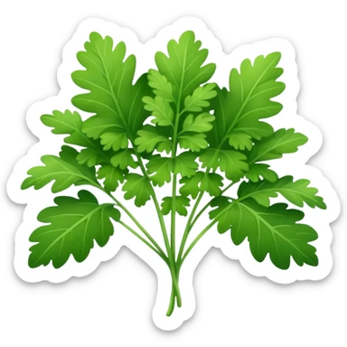 Cilantro sticker