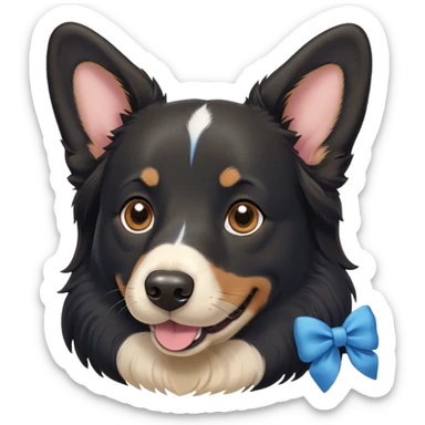 Black, flat-coated retriever, smooth fur with subtly fluffy ears, smiling face, blue bow around the neck, brown eyes. Corgi face behind black dog sticker