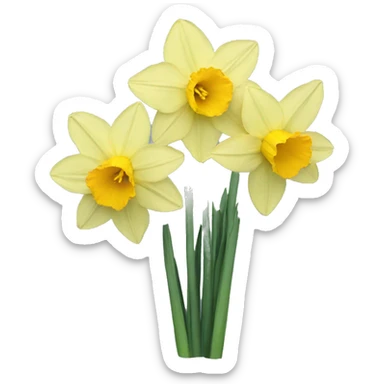 daffodils but big sticker