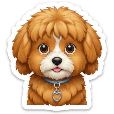 Cavapoo  apricot sticker