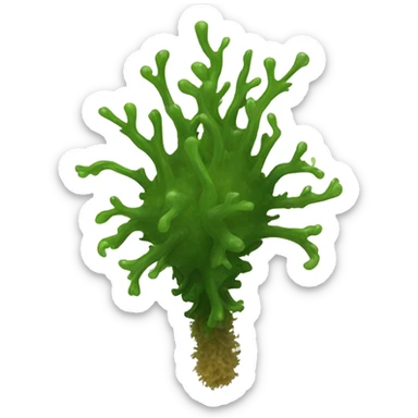 Sea moss on leg sticker