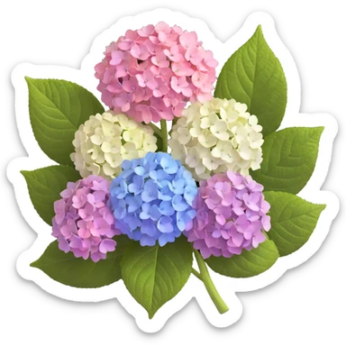 Highly detailed realistic hydrangea flower showing natural texture of many small flowers in a cluster, subtle color variations, and authentic leaf structure sticker