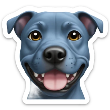 Blue staffy with a black nose sticker