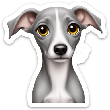 Cute Italian greyhound puppy grey  sticker