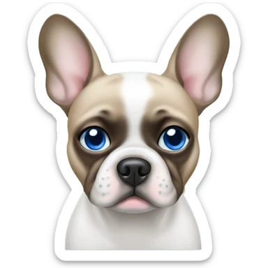 White frenchie left eyes blue right eye blue sticker