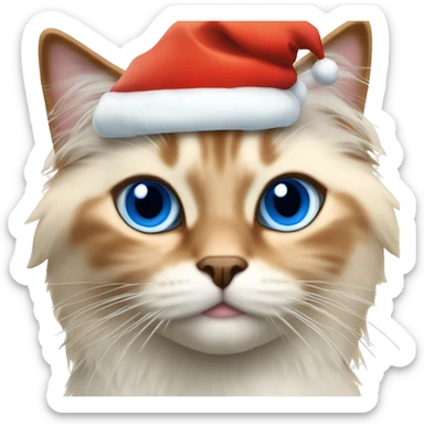 Orange bicolor ragdoll cat with blue eyes wearing a Santa hat  sticker